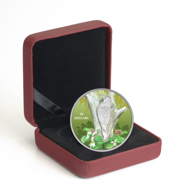 2017 $10 FINE SILVER COIN - BIRDS AMONG NATURE'S COLOURS: NORTHERN FLICKER [156232] - Image 3