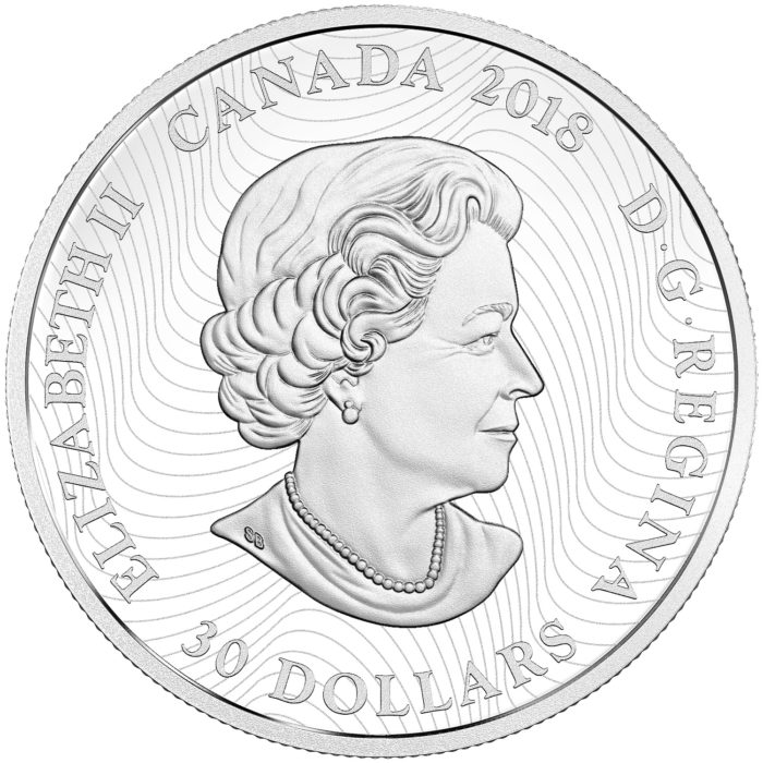 2018 $30 FINE SILVER COIN ARCTIC ANIMALS AND NORTHERN LIGHTS: SNOWY OWL [165963] - Image 2