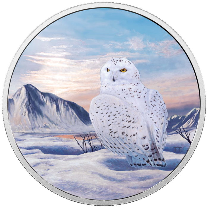2018 $30 FINE SILVER COIN ARCTIC ANIMALS AND NORTHERN LIGHTS: SNOWY OWL [165963]