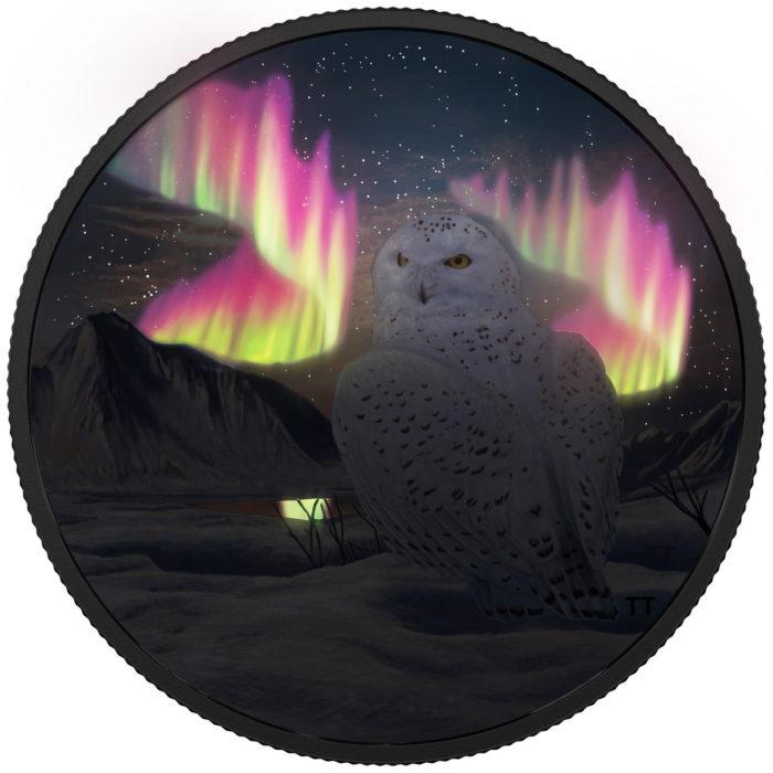 2018 $30 FINE SILVER COIN ARCTIC ANIMALS AND NORTHERN LIGHTS: SNOWY OWL [165963] - Image 3