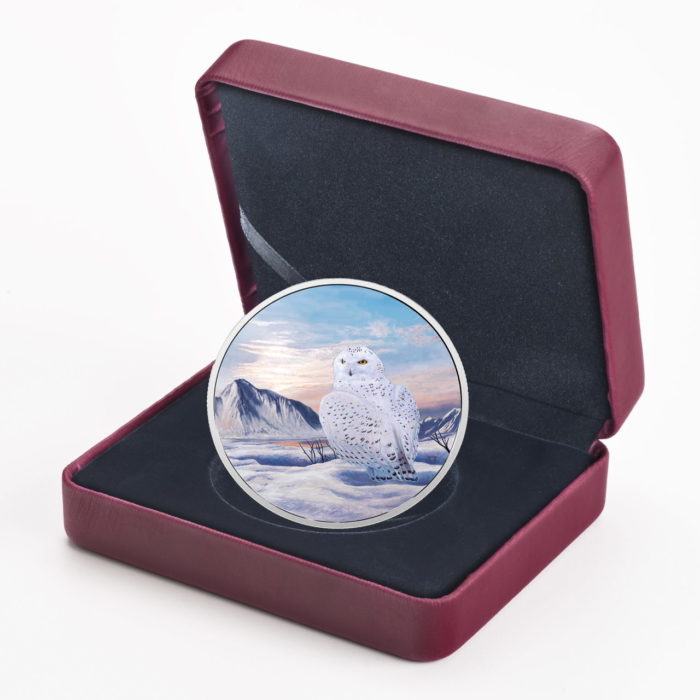 2018 $30 FINE SILVER COIN ARCTIC ANIMALS AND NORTHERN LIGHTS: SNOWY OWL [165963] - Image 4